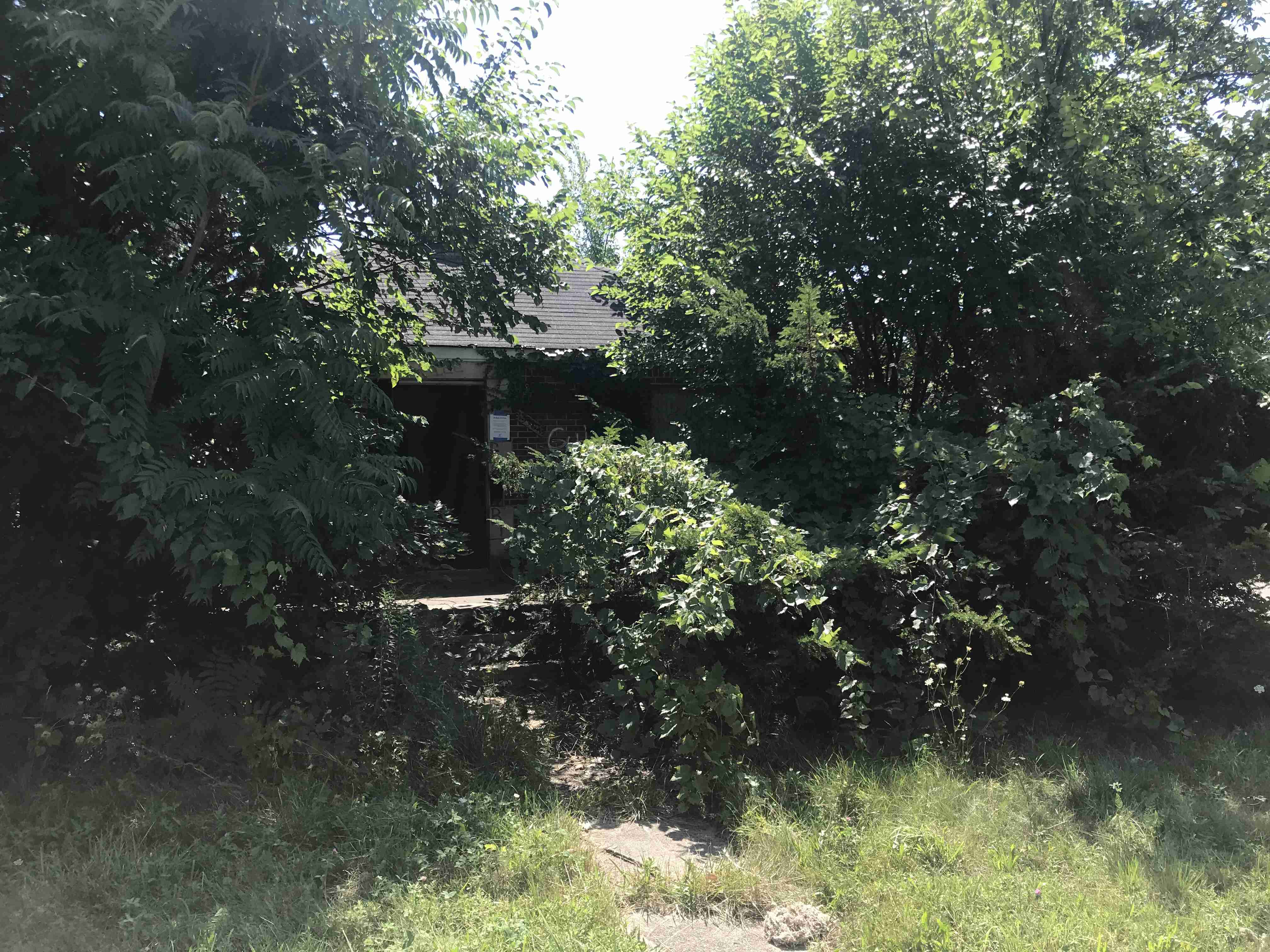 Photo Aug 21, 1 12 09 PM.jpg